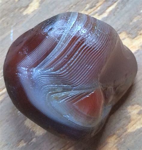 Lake Superior Banded Floater Agate Photograph 1 Vermillion Michigan