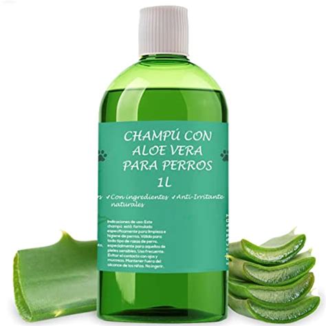 Qué hace la sábila en el cabello Beneficios del aloe vera en el