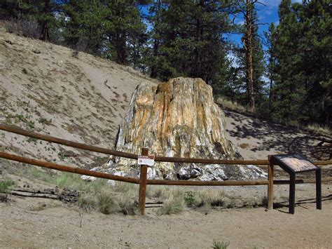 Florissant Fossil Beds National Monument Map - South Central Colorado ...