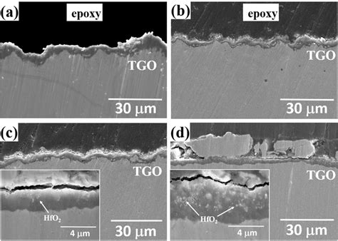 Cross Sectional Morphologies Of The Coatings With Different Hf Content