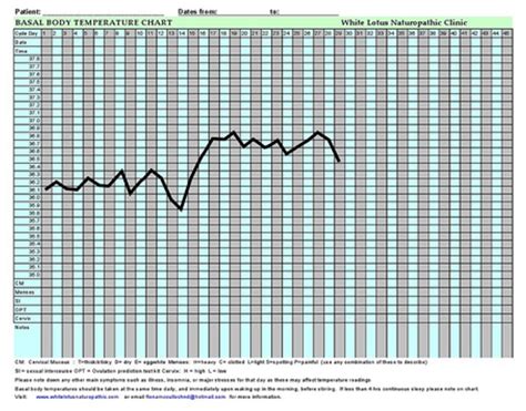 Printable Basal Temperature Chart