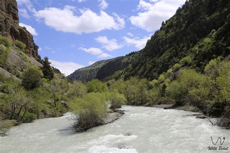 Aksu river in the Aksu-Zhabagly reserve. » WildTicket Asia - Tourist Service in Kazakhstan