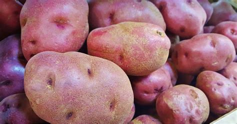 ¿conoces La Patata Roja Cuales Son Sus Beneficios Y En Qué Se
