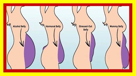 Consejos Para Diferentes Tipos De BARRIGA Quema Rapida De Barriga