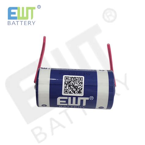 Ewt Er V Mah Lithium Li Ion Rechargeable Battery With T P