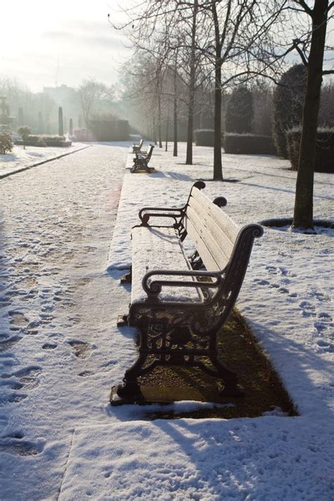 Park Bench in Snowy London stock image. Image of brown - 12446703