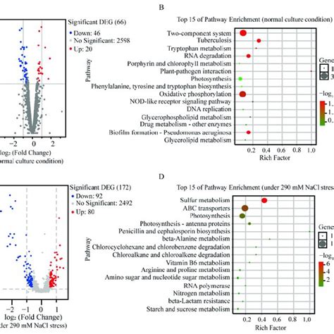 Response Of Syn7942 Cells To Heterologous Expression Of Syn A 4 8 A Download Scientific