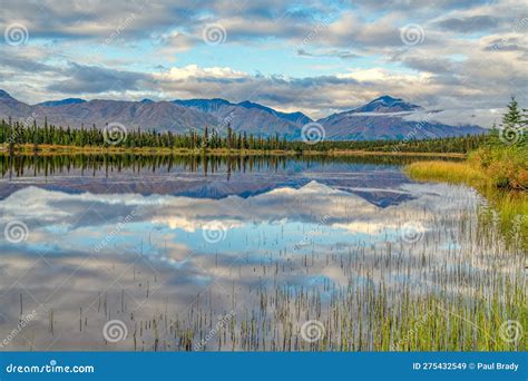 Lake Reflection Along The Denali Highway In Alaska Stock Image Image