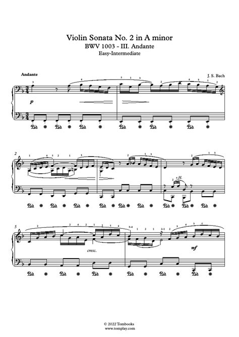 Violin Sonata No 2 In A Minor Bwv 1003 Iii Andante Easy