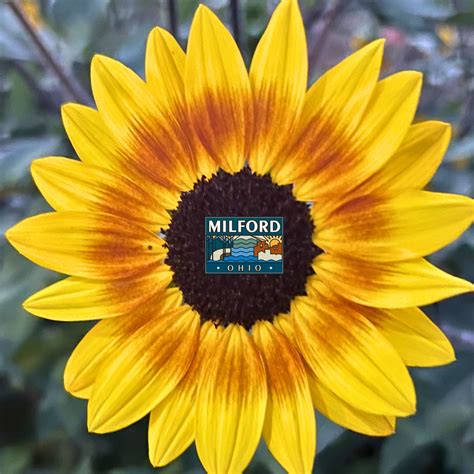 City of Milford, OH - Chief Jamey Mills announced the appointment of