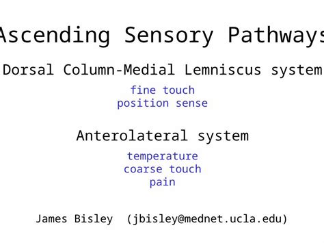 PPT Ascending Sensory Pathways Dorsal Column Medial Lemniscus System