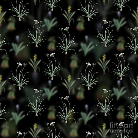 Vintage Allium Fragrans Floral Garden Pattern On Black N Mixed