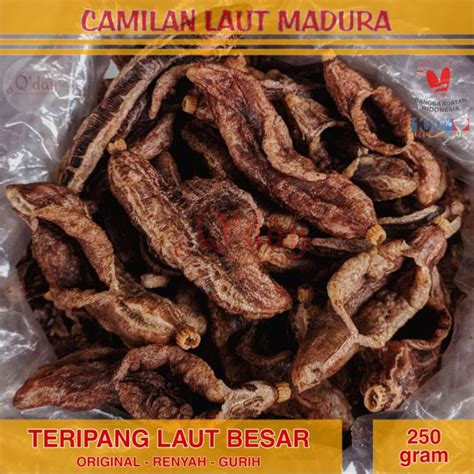 Jual TERIPANG LAUT BESAR RENYAH GURIH 250 Gram Siap Makan Asli Alami