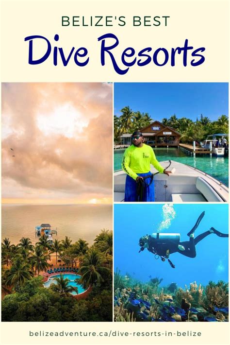 Top 5 Dive Resorts In Belize Belize Adventure Belize Resorts Dive