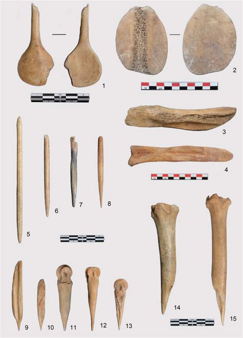 Bone Tools From Masis Blur Excavations 1 Bone Spoon With A Perforated