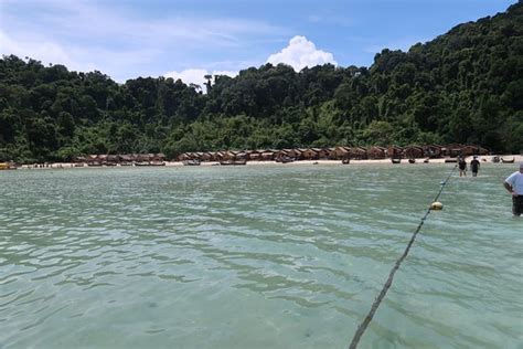 Andaman Snorkel Discovery Khao Lak Qu Saber Antes De Ir Lo