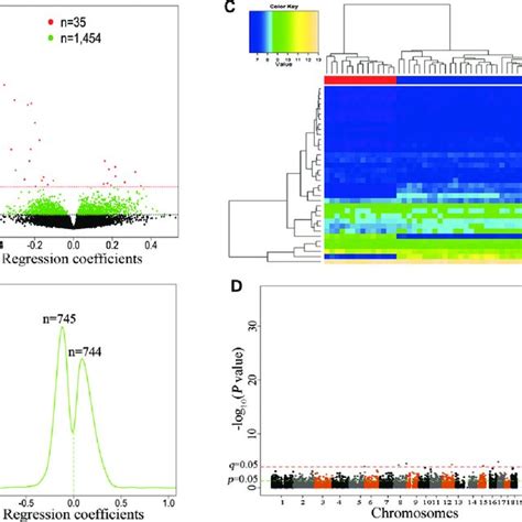 David Functional Enrichment Analysis Results Annotation Cluster 1