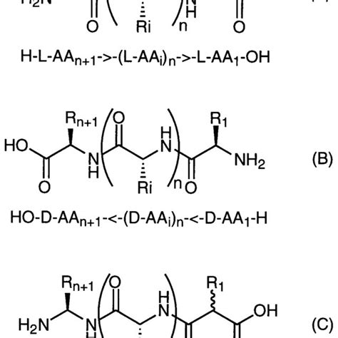 Schematic Representation Of A Linear L Peptide A The Corresponding