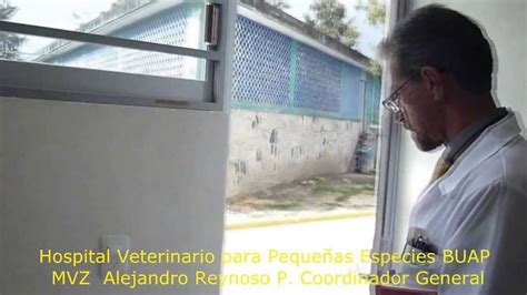 Hospital Veterinario Para Peque As Especies Buap Youtube