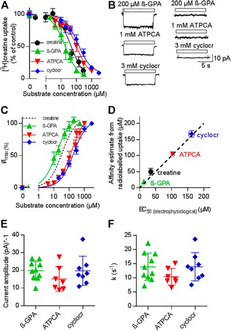 Frontiers Cooperative Binding Of Substrate And Ions Drives Forward