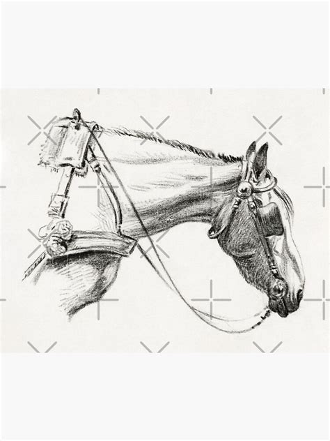 Jean Bernard Horse Covered Sketch Sticker For Sale By Littleariel