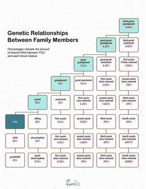 How Much DNA Do Family Members Share? (With Cousin Relationship Chart ...