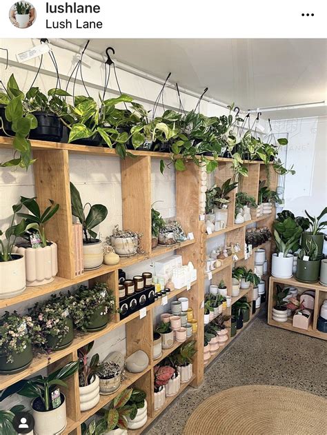 A Room Filled With Lots Of Plants And Potted Plants On Wooden Shelves