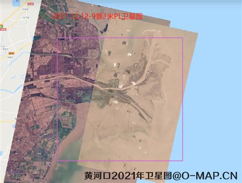 黄河三角洲最新卫星图 黄河口2021最新卫星图