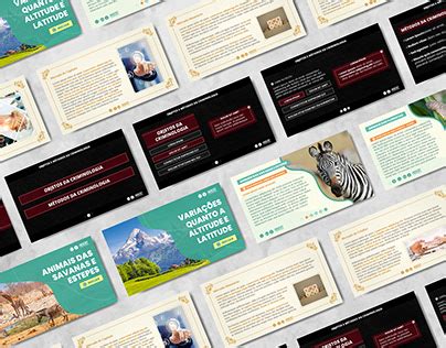 Infographic Slides Template Projects :: Photos, videos, logos, illustrations and branding :: Behance