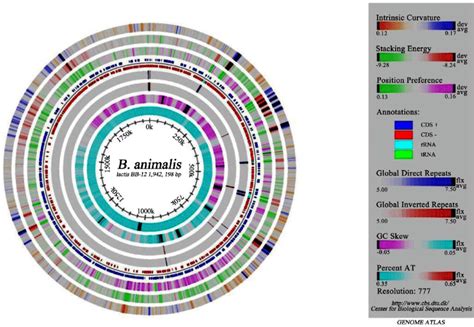 The Bb Genome Atlas The Physical Mapping Of The Bb Chromosome