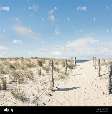 beach beach coast path beaches seaside coast paths stock photo alamy