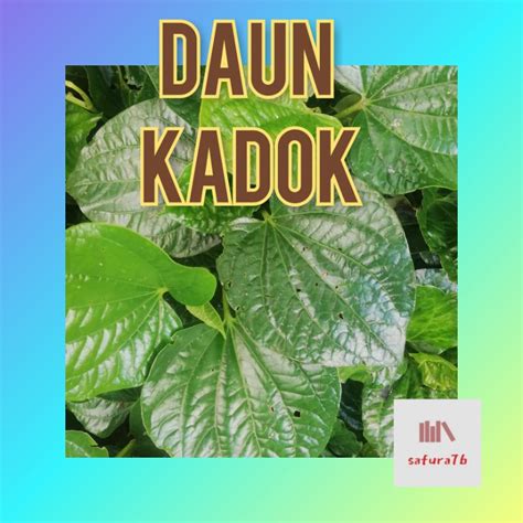 Daun Kadok Daun Kaduk Shopee Malaysia