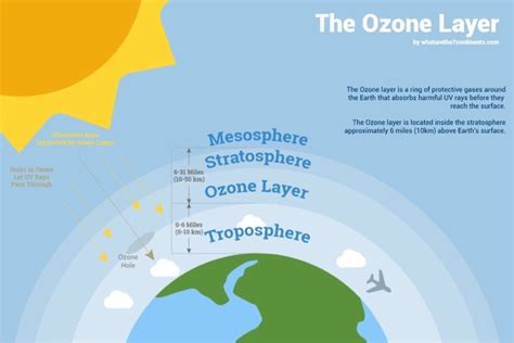 Solved The ozone layer or ozone shield is a region of | Chegg.com