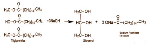 Hydrolysis Of Fats And Oils