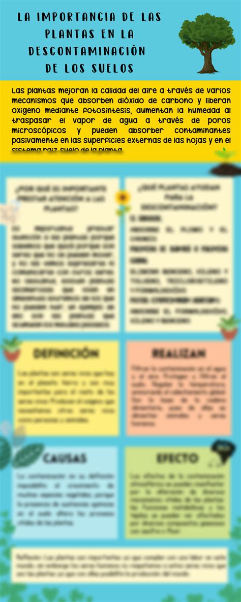 SOLUTION Infografia La Importancia De Las Plantas En La Descontaminaci