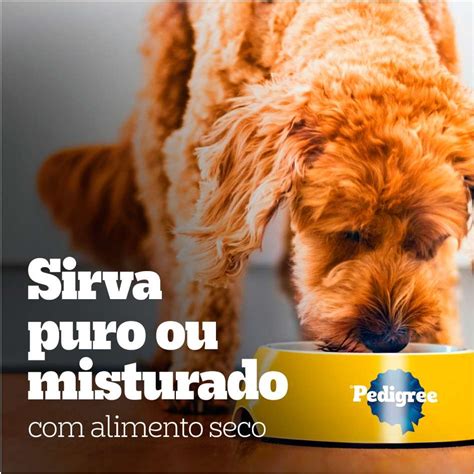 Ração Úmida Pedigree Sachê Carne ao Molho para Cães Adultos de Raças