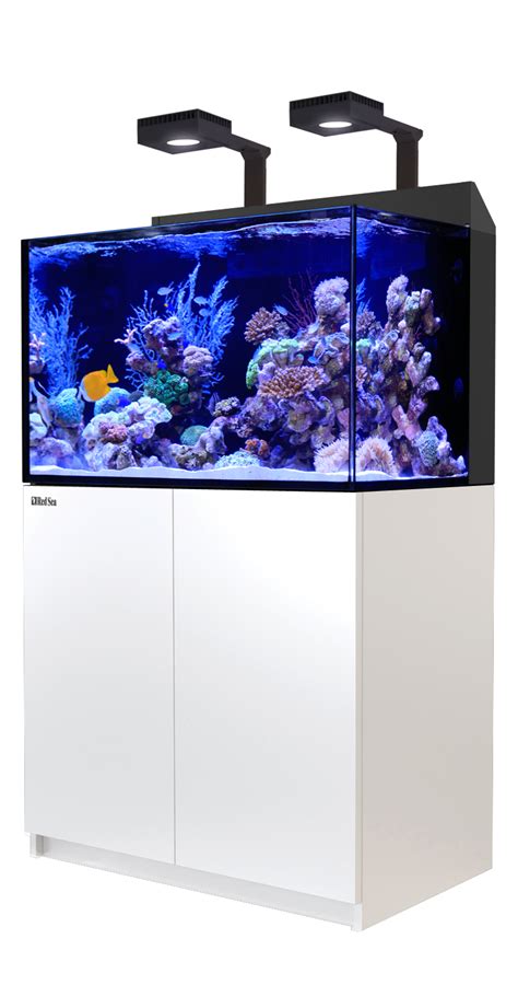 Red Sea E 260 Meerwasseraquarium Komplettset Kaufen HP Aquaristik