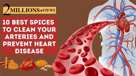 10 Best Spices To Clean Your Arteries And Prevent Heart Disease Youtube