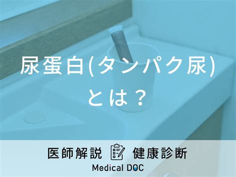 「尿蛋白タンパク尿」について医師が徹底解説！腎機能が低下しているかも？ メディカルドック