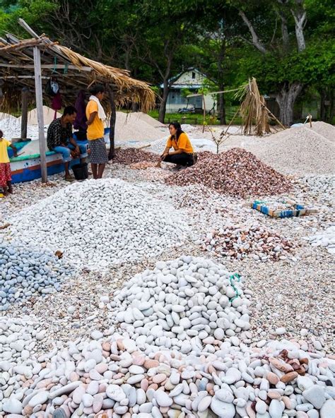 Geliat Penambang Batu Warna Warni Di Pantai Kolbano Ntt