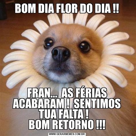 Bom Dia Flor Do Dia Fran As F Rias Acabaram Sentimos Tua Falta