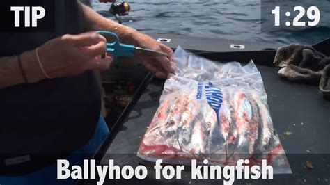 Rigging Ballyhoo For Kingfish Youtube