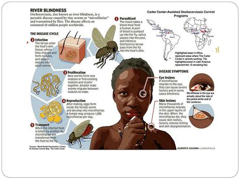 Ppt Onchocerciasis The Public Health Impact In Africa Powerpoint