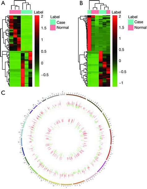 Heat Map And Circos Plots Of Demrnas And Delncrnas A Heat Map Of The