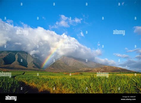 No Rain No Rainbows A Saying Goes On Maui A Rainbow In A Valley Of