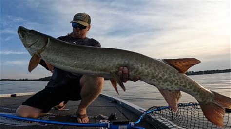 GIANT MUSKIES 150 Inches On 3 Muskies In 2 Hours YouTube