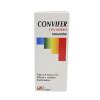 Convifer Con Hierro solución 220 ml Farmacias Gi Mejoramos tu salud