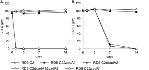 Degradation of 2,4-dichlorophenoxyacetic acid (2,4-D) (A) and... | Download Scientific Diagram