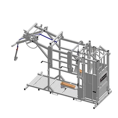 Cage De Traitement Pour Bovins Hoofmaster Lm Bateman Pour Le Soin