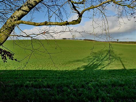 Tree And Shadow Aghagallon Kenneth Allen Cc By Sa 2 0 Geograph